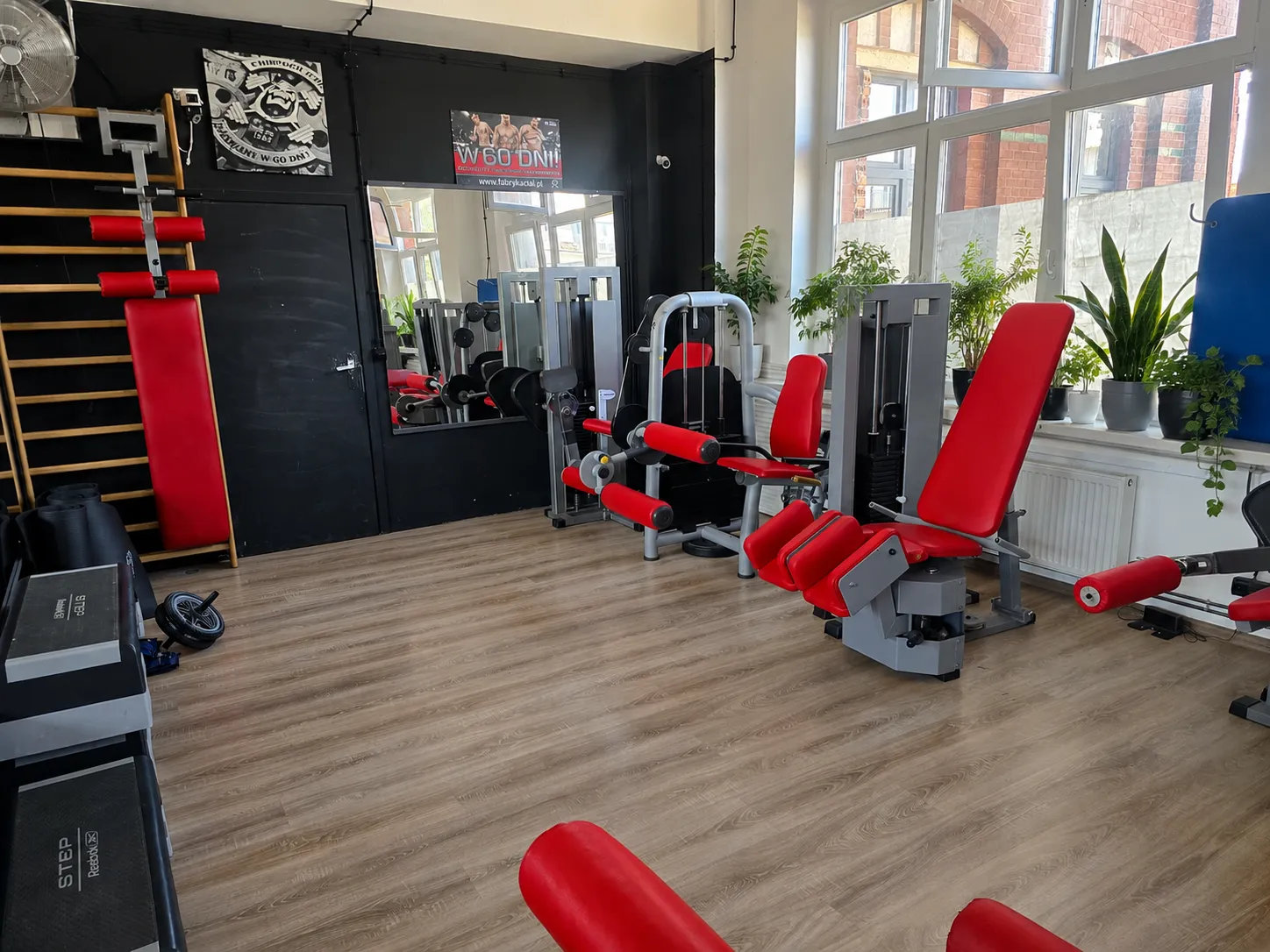 Jasna sala Dragon Studio z czerwonymi maszynami treningowymi i roślinami przy oknach