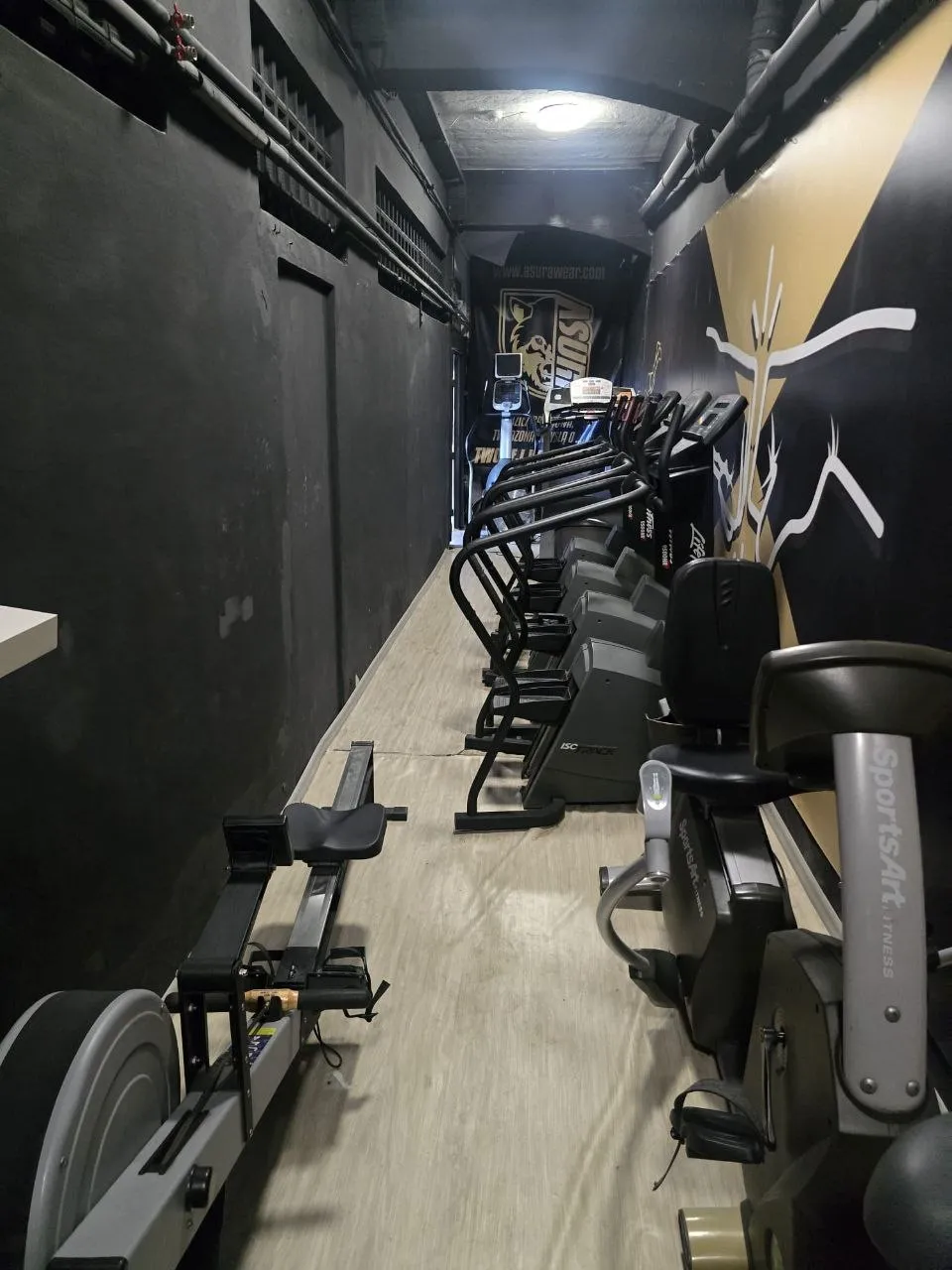 Rząd urządzeń cardio w prywatnym studiu treningowym Krzysztofa Dragona